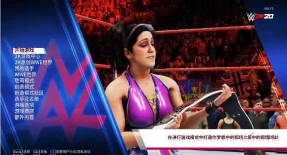 WWE2K20_WWE 2K20 v1.0  ԯ