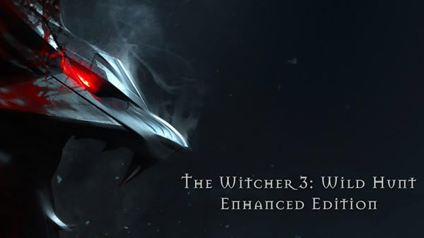 巫师3啪啪啪替换会所NPCmod_巫师3:狂猎女主角啪啪啪替换会所NPCMOD v1.22 绿色版-开心电玩