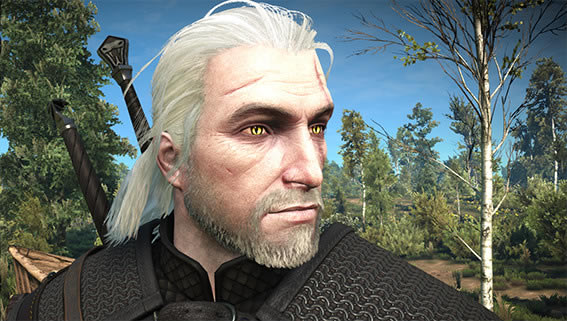 巫师3猫科动物眼睛MOD_巫师3:狂猎猫科动物眼睛MOD v1.31版-开心电玩