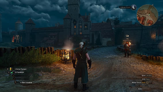 巫师3无视装备等级穿戴MOD_巫师3:狂猎无视装备等级穿戴MOD v1.31 绿色中文版-开心电玩