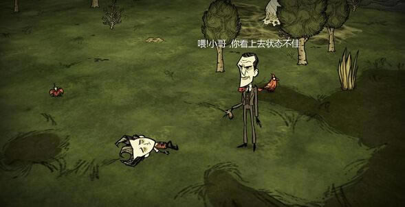 2.jpg