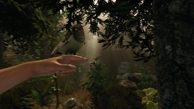 ɭ(The Forest)v0.17Ϸվ