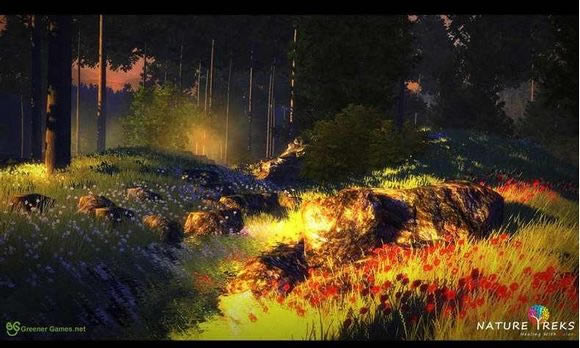 ȻãɫʵػϷվ