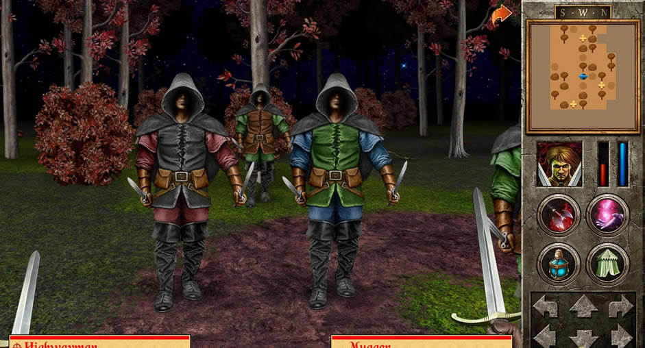 大冒险(The Quest）汉化中文版下载-大冒险下载破解版