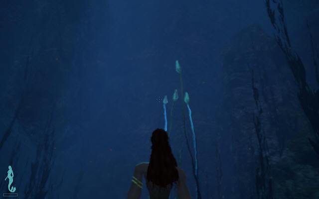 出水美人鱼下载