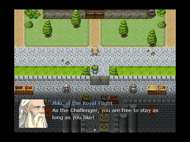 经典式RPG游戏-冠军之家下载(AHouseofChampions)绿色硬盘版