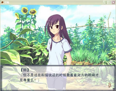 ��½��������������