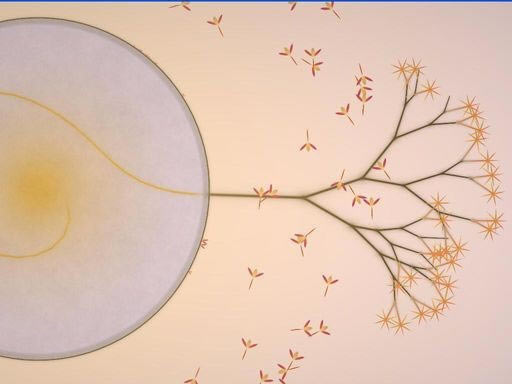 真菌世界下载中文硬盘版