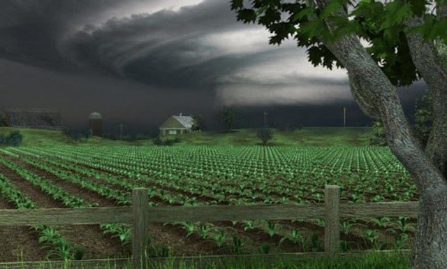 南希朱尔22:旋风追踪下载