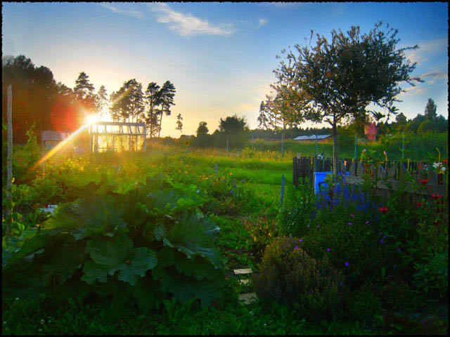 卡罗尔瑞德谜案4:东城故事下载
