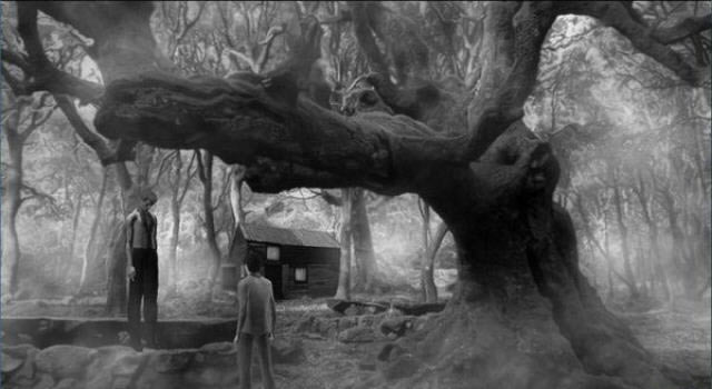 奥兹奥威尔与潜伏的混乱下载