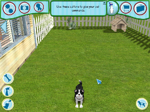 ģ����ﹷ6����(Dogz 6) Ӣ��Ӳ�̰�