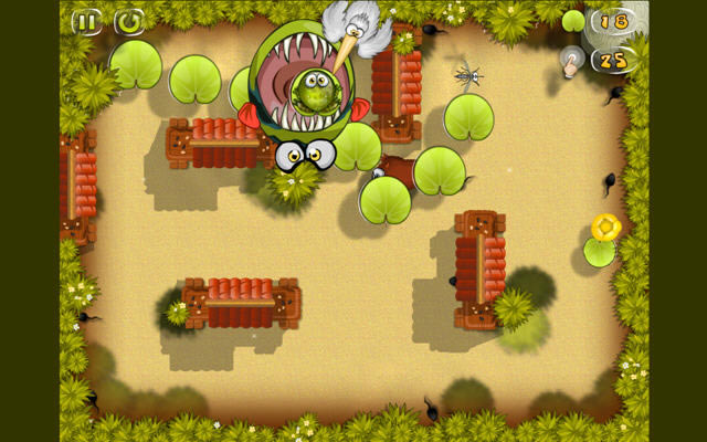 饥饿的青蛙下载