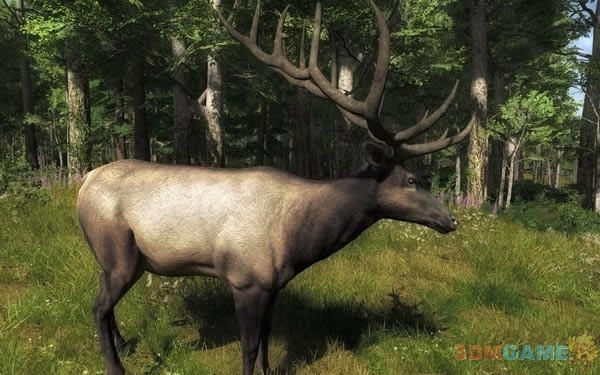 猎人2012游戏下载_猎人2012英文免安装版游戏下载