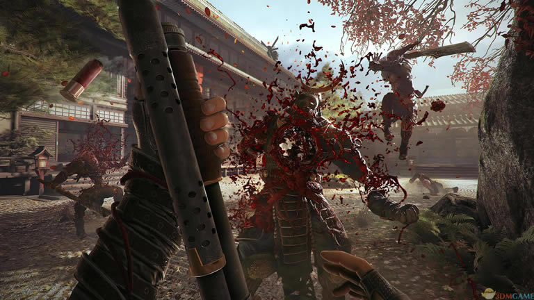 影武者2 中文版（暂未上线）_影武者2 3DM简体中文硬盘版下载