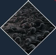 �����ߴ�˵����������ⰲװ��