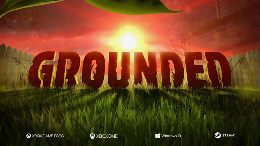 Grounded���İ�����