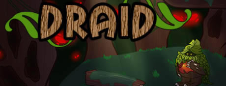 ��Draid��Ӣ���ⰲװ��