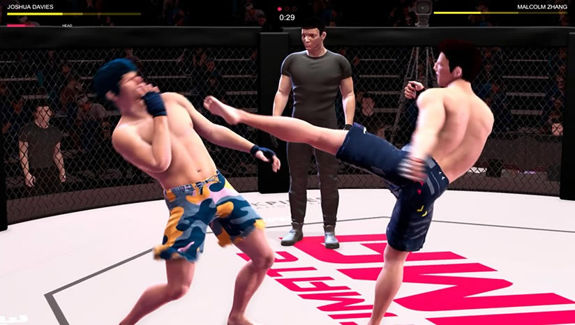 终极mma下载_ultimate mma中文版下载
