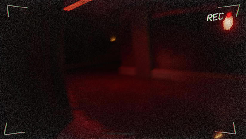 检查下载_检查英文版下载