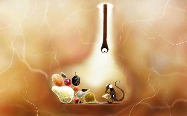 植物精灵中文版_植物精灵 简体中文免安装版下载