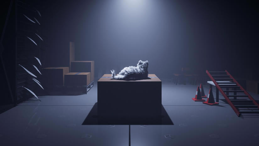 Follow The Cat下载（暂未上线）_Follow The Cat中文版下载