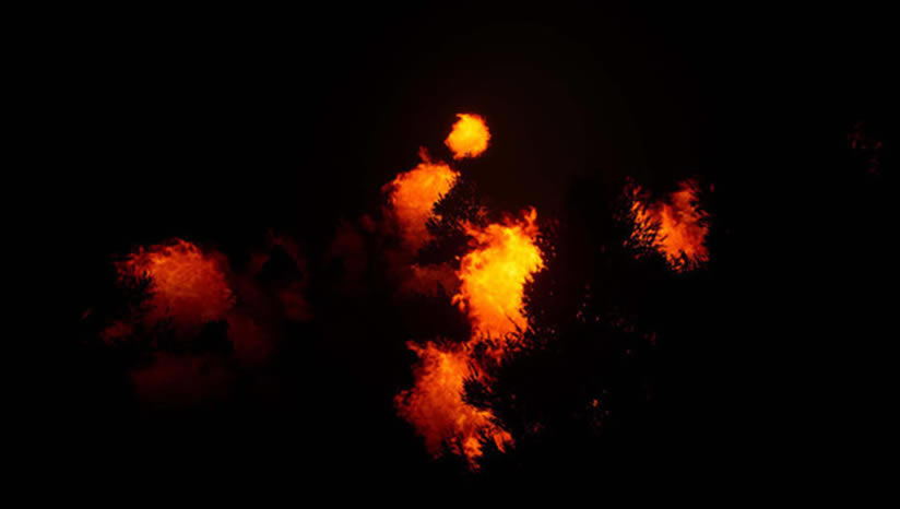 鹿之旅下载-鹿之旅中文版下载