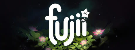 ��Fujii����Ϸ��