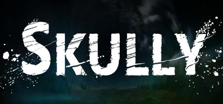 ��Skully�����������ⰲװ��