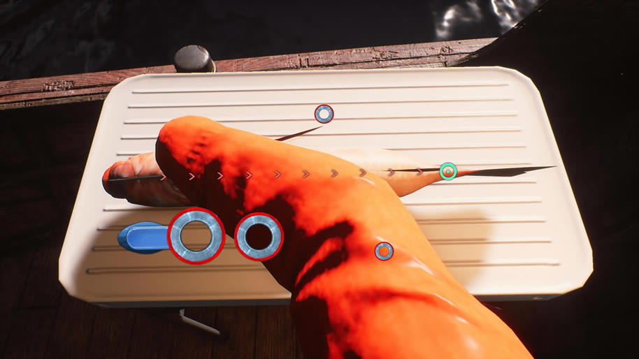 钓鱼巴伦支海中文版_钓鱼：巴伦支海 官方简体中文免安装版下载