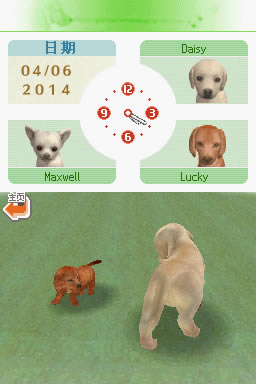 任天狗：拉布拉多犬和伙伴 简体中文汉化版下载_任天狗：拉布拉多犬和伙伴下载