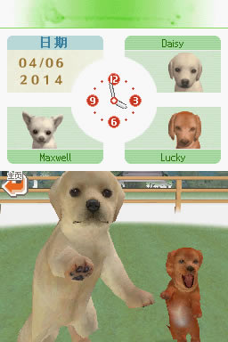 任天狗：腊肠犬与伙伴 简体中文汉化版下载_任天狗：腊肠犬与伙伴下载