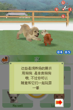 任天狗：吉娃娃和伙伴 简体中文汉化版下载_任天狗：吉娃娃和伙伴下载